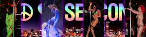 Chicago Sexcon has over 100 adult vendors.