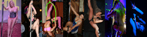 Sexy animals live at the Chicago Sexcon.